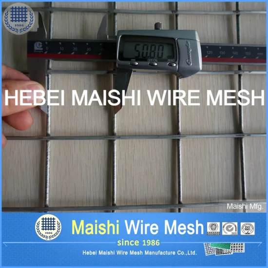Bird cage Galvanzied Welded Wire Mesh