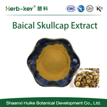 Baical Skullcap Extrakt, Baicalin -Pulver