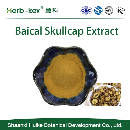 Kudzu Root Powder Baical Skullcap Extract, Baicalin Powder Supplier