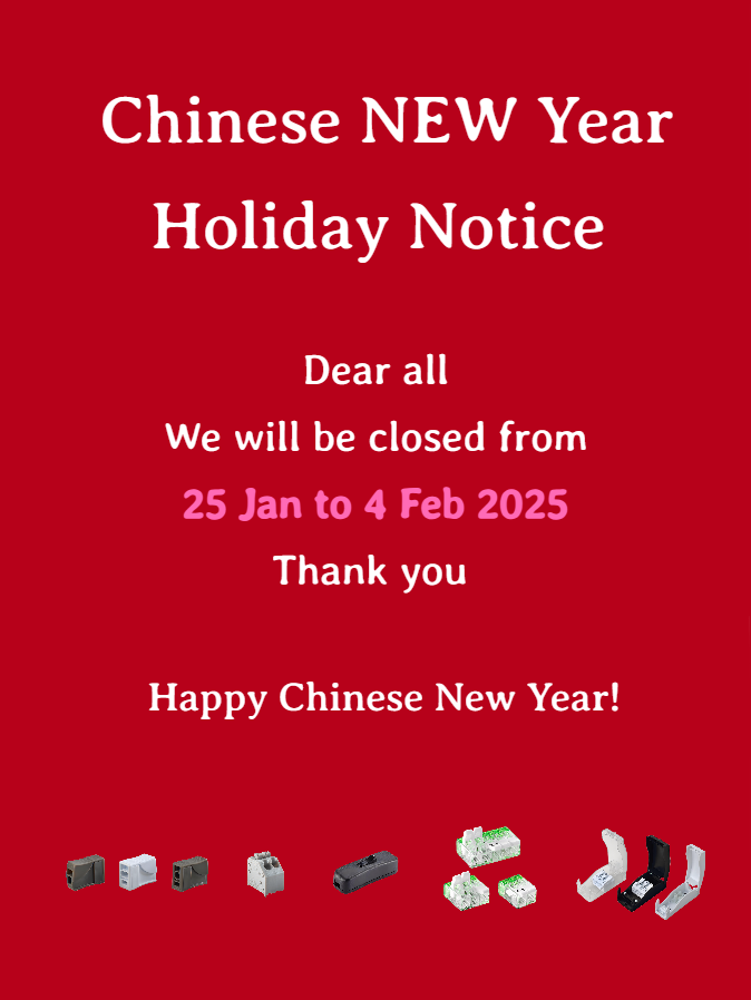 chinese new year holiday poster