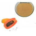 Papaya Powdered Extract Cosmetic Grade