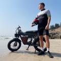ZM21 Basic Electric Fat Bike