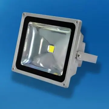 10w/20w/30w/50w/70w/100w COB led flood light