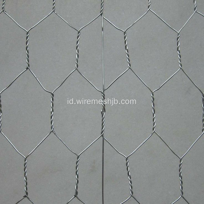 Galvanized Chicken Wire Mesh