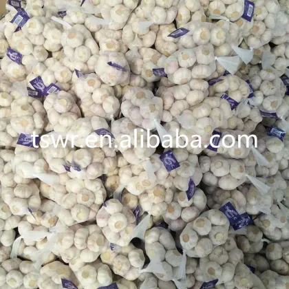 food grade china fresh garlic