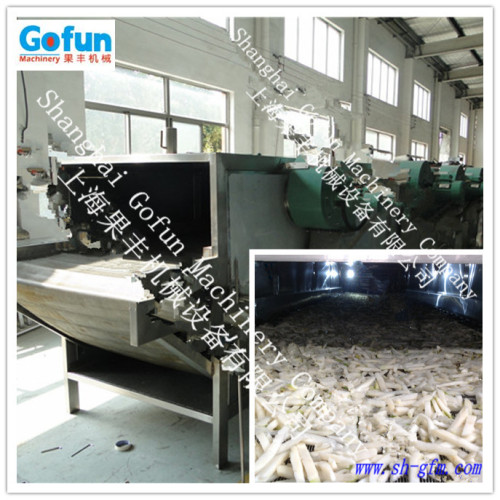 dried fruit machine (drying fruit plant)