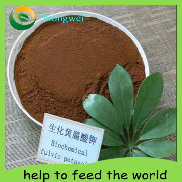 Soluble Fulvic Bio Bulk Humic Acid Fertilizer Top Dressing