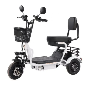 EU/US Warehouse - Partihandel 500W 48V 20AH 10 tums last Electric Bike Scooter 3 Wheel för vuxna