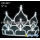 5 Inch Rhinestone Crown