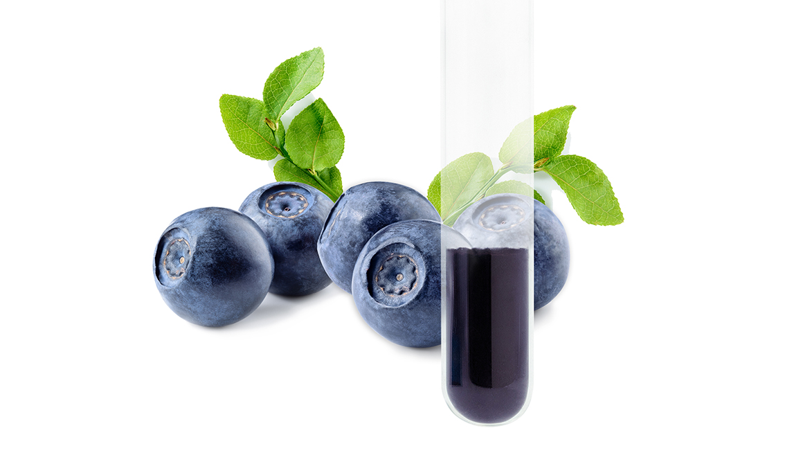 bilberry