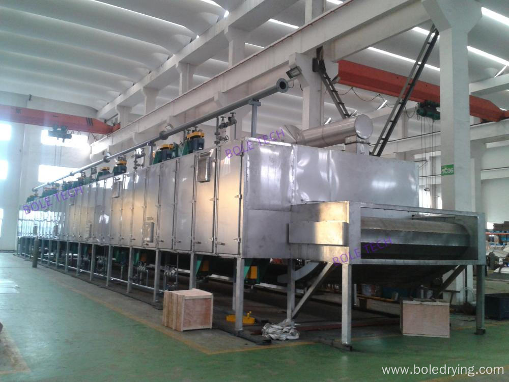 Desiccated coconut conveyor belt dryer for food industry