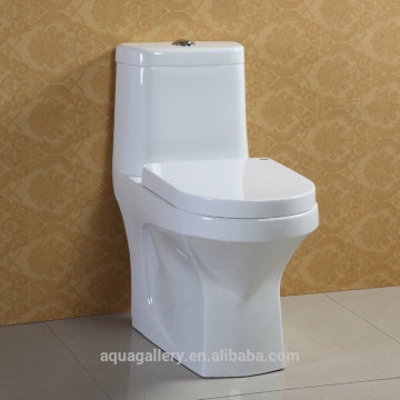 North America Popular Double Flush Water Efficiency Siphonic Toilets