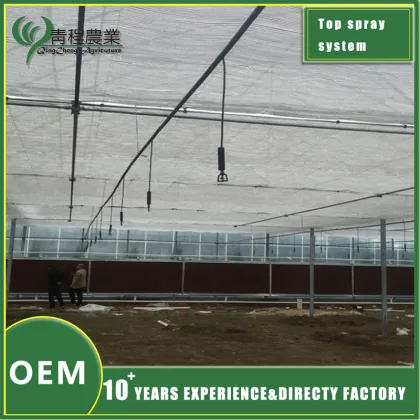 Efficient Top Irrigation System Solutions