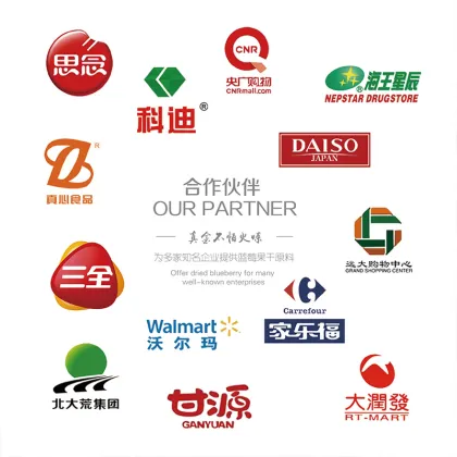 Sugar Dried Blueberries - No added cane sugar