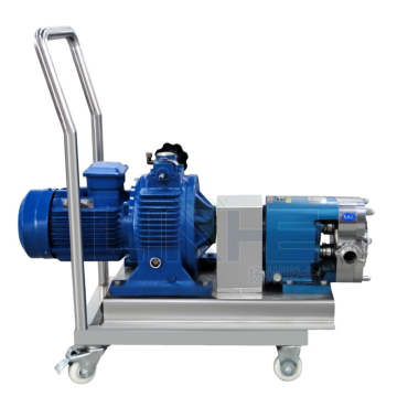 Stainless Steel Rotor Pump for High Viscosity Cosmetics Transfer