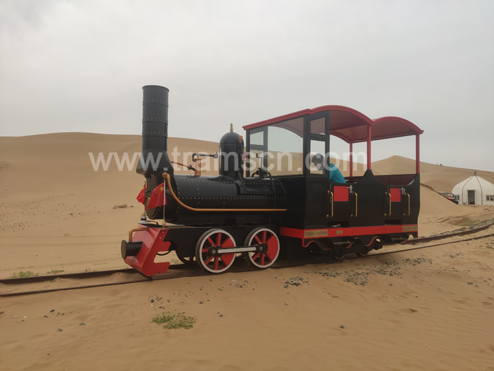 desert sightseeing train3