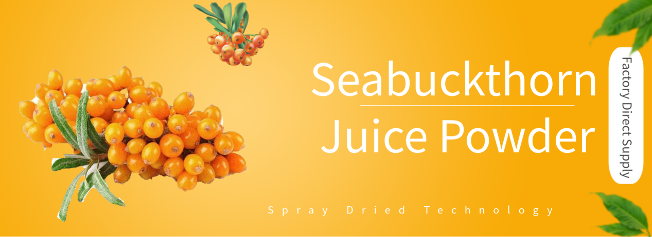  Seabuckthorn