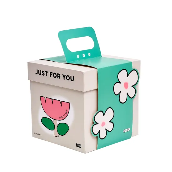 Cardboard Gift Packaging Bbox With Lid Handle