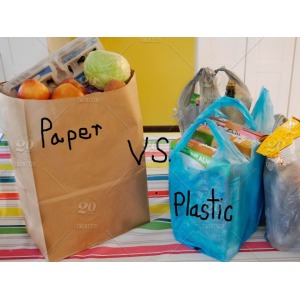 Reusable Supermarket Flat Bulk Reusable Plastic Produce Food Packaging Bags