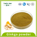 Ginkgo biloba extracto de fruta fruta blanca en polvo