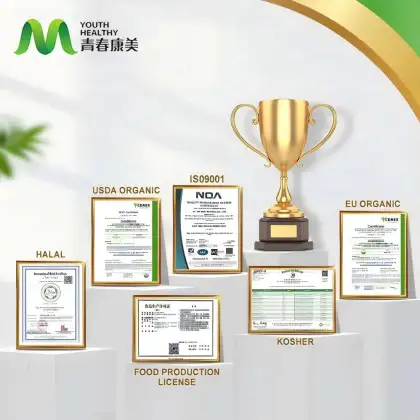 Organic Lion's Mane Mushroom Powder