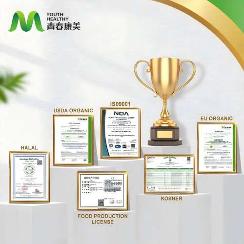 Органски лавов у праху гљива од гљива