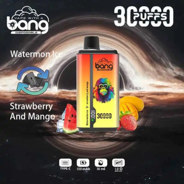 Cigarette Mesh Coil Disposable Vape Vaporizer Bang