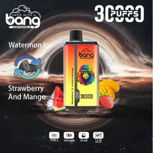 Cigarette Mesh Coil Disposable Vape Vaporizer Bang