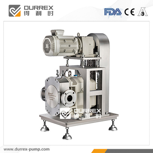 Food filling transfer rotary lobe pump