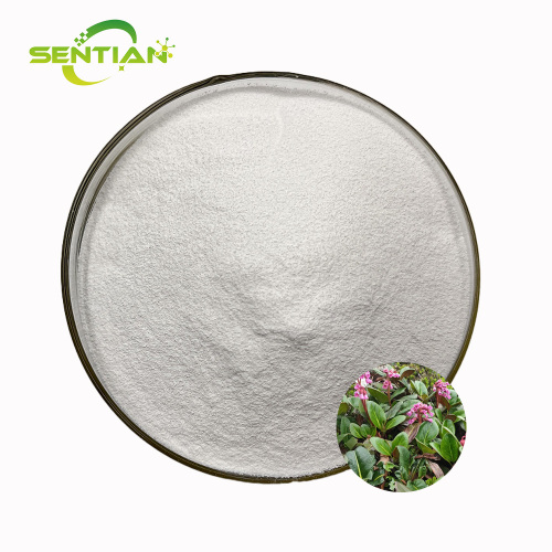 High-Quality Plant Extract Bergenin