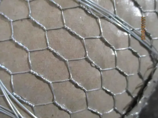 Galvanized Hexagonal Chicken Wire Mesh