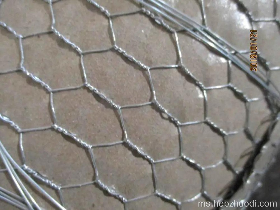 Mesh Kawat Hexagonal Galvanized