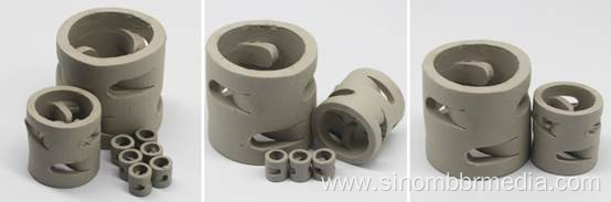 Absorber Packing Media Ceramic Pall Ring