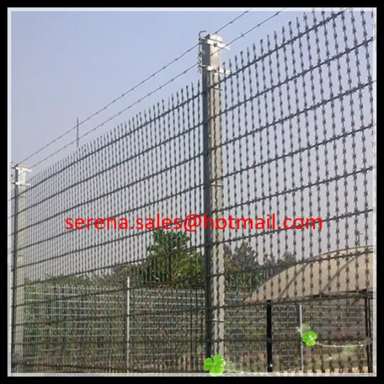 hot galvanised anti climb weld razor wire mesh fence (China Manufacture)