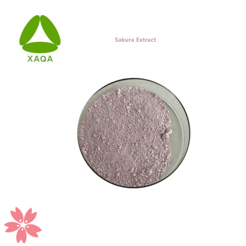 Mulberry Leaf Extract Natural Plant Extract Sakura Cherry Blossom Extract Powder Manufactory