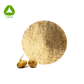 Organic Raw Material Maca Root Extract 10:1 Powder