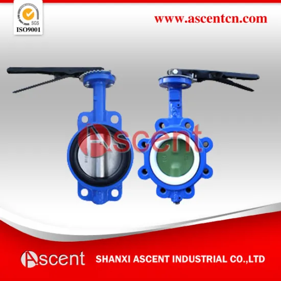 Ductile Cast Iron Lug Butterfly Valve