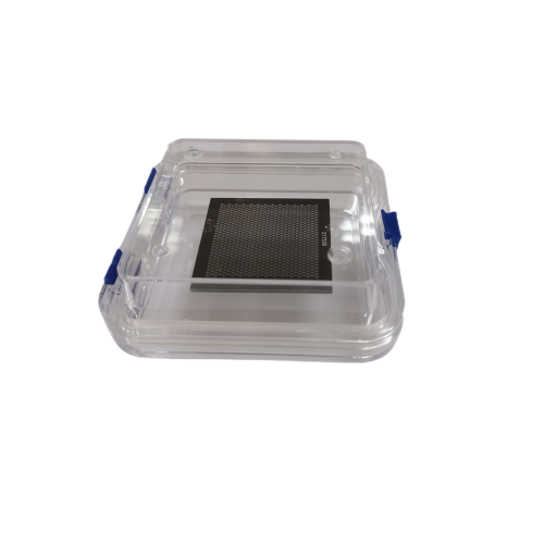 Guarda Optics Lab Membrane Plastic Transparent Dente Box