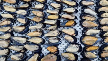 IQF Half shell blue mussel