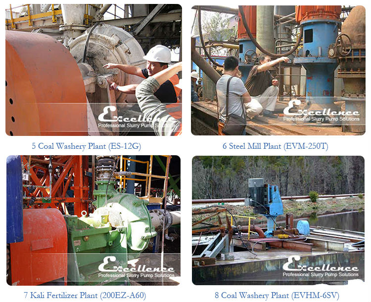 Mineral Processing Slurry Pump (EHR-4D)