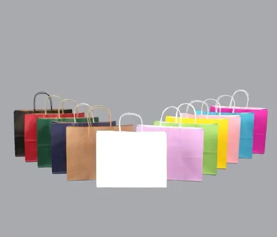 Premium Paper Bags for Retail Stores