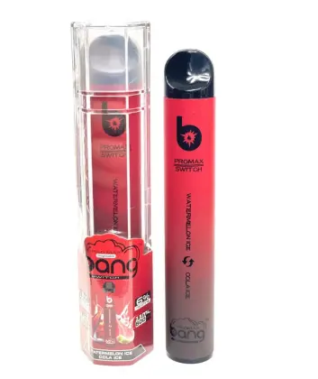 Disposable Vape Bang Pro Max Switch 2000