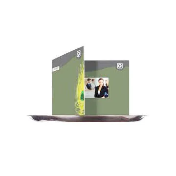 4.3" Business Video Card