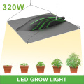 Grow Light Setup For Seedlings