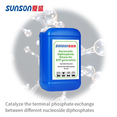 Nukleosida diphosphate kinase memangkinkan pemindahan fosfat