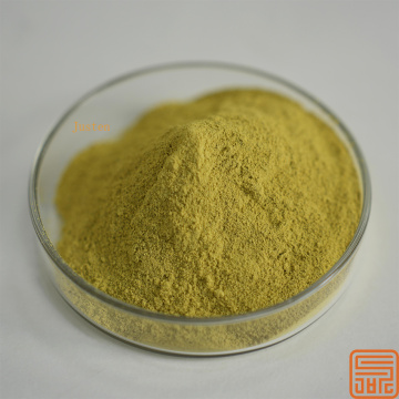 Sophora japonica extracto rutin nf11 95%