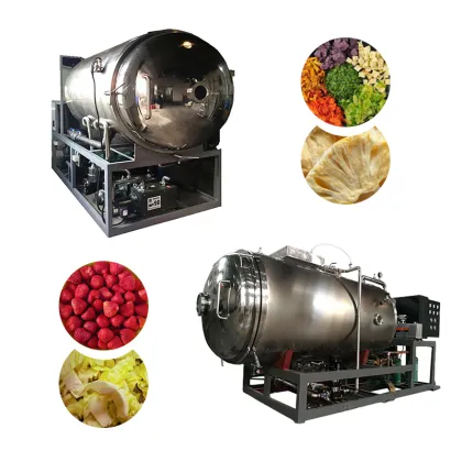 Industrial Freeze Drying Equipment