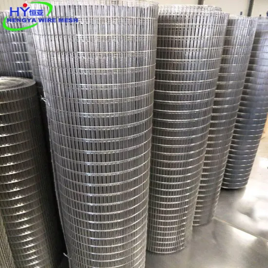 High-Quality Stainless Steel Welded Wire Mesh