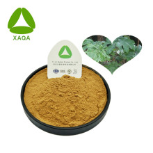 Tetrapanax Papyriferus Extract Powder 10: 1