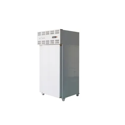 High-Capacity HIRON Blast Chest Freezer at a Great Price